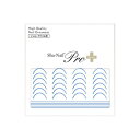 【暮らしラクラク応援セール】Sha-Nail Pro PLUS 写ネイル ネイルシール French Color Line -Blue- FR-CLB【取り寄せ...