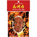 【暮らしラクラク応援セール】長州力 俺を剥がしたら大したもんだよ ステッカー キレちゃいないよ編 CI10014【取り寄せ・返品不可商品】