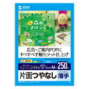【暮らしラクラク応援セール】サンワサプライ インクジェット用スーパーファイン用紙A4サイズ250枚入り JP-EM5NA4-250【取り寄せ・返品不可商品】