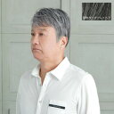 【暮らしラクラク応援セール】プリシラ 男性用5分ウィッグ ストレートショート 耐熱 ダークグレイヘア GB-21-TDGH【取り寄せ・返品不可商品】