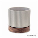 【暮らしラクラク応援セール】タイディポット グレー 30770【取り寄せ・返品不可商品】