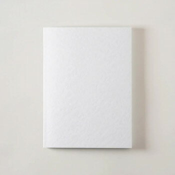 【暮らしラクラク応援セール】Dressco オニオンスキンノートブック ラージ ペールブルー 1747921【取り寄せ・返品不可商品】