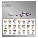 【暮らしラクラク応援セール】Sha-Nail Charm 写ネイル ネイルシール Kanae Ink Label CH-KA05【取り寄せ・返品不可商品】