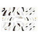 【暮らしラクラク応援セール】Sha-Nail Pro 写ネイル ネイルシール クラシカルスワン CS-001【取り寄せ・返品不可商品】