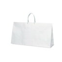 【暮らしラクラク応援セール】グレートバッグ手提袋 NO.20 1420 10枚【取り寄せ・返品不可商品】