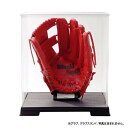 【暮らしラクラク応援セール】野球 メモリアルグッズ Hero-BOX G-1 BB77-36【取り寄せ・返品不可商品】