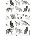 【暮らしラクラク応援セール】キーストーン マルチカバー MONO 約W150×L225cm キャット MUCOMOCA【取り寄せ・返品不可商品】
