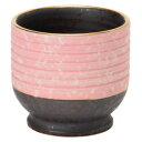 【暮らしラクラク応援セール】煌煌(こうこう) 茶湯器 有田焼 ピンク 32A9008300072【取り寄せ・返品不可商品】