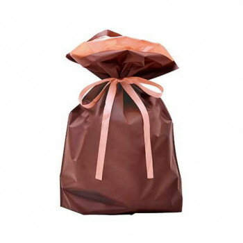 【暮らしラクラク応援セール】タカ印 巾着袋 ブラウン 310×430+120 50P 50-3561 50枚【取り寄せ・返品不可商品】