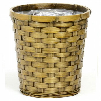 【暮らしラクラク応援セール】エスジーワンダーゾーン 巾広バンブー ケンガイ鉢8号 203-08K【取り寄せ・返品不可商品】(4.0)