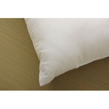 【暮らしラクラク応援セール】ヌードクッション 国産 座布団 銘仙判 『ヌード』 アイボリー 約55×59cm 5枚組 9507830【取り寄せ・返品不可商品】 [2]