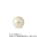 【暮らしラクラク応援セール】DANNO(ダンノ) ギムニク パールシッティング 65 D5442【取り寄せ・返品不可商品】