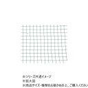 【暮らしラクラク応援セール】ダンノ(DANNO) 一般サッカーネット 野球目176 D6705【取り寄せ・返品不可商品】