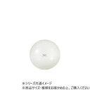 【暮らしラクラク応援セール】ダンノ(DANNO) オプティボール65(クリア) D5981【取り寄せ・返品不可商品】
