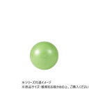 【暮らしラクラク応援セール】ダンノ(DANNO) ギムニクカラーボールPLUS 65(ライムグリーン) D5422LMG【取り寄せ・返品不可商品】