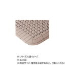 【暮らしラクラク応援セール】DANNO ダンノ 抗菌フミンゴ 中ふちオス ベージュ D4202BJ【取り寄せ・返品不可商品】