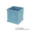 【暮らしラクラク応援セール】村田屋産業 スクエアポットフォレスト 7号 NaturalBlue 3761【取り寄せ・返品不可商品】