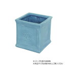 【暮らしラクラク応援セール】村田屋産業 スクエアポットフォレスト 6号 NaturalBlue 3762【取り寄せ・返品不可商品】
