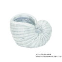 【暮らしラクラク応援セール】村田屋産業 オウムガイポット 3104【取り寄せ・返品不可商品】