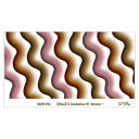 【暮らしラクラク応援セール】Sha-Nail Pro PLUS 写ネイル ネイルシール X Gradation W -Brown- XGW-P01【取り寄せ・返...