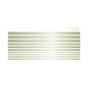 【暮らしラクラク応援セール】Sha-Nail Pro PLUS 写ネイル ネイルシール Bold Lines Champagne Gold / ボールドライン ...