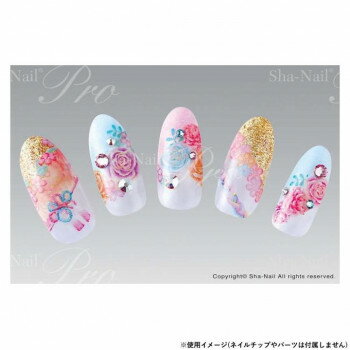 ラコララン クイックジェルシール 10 スキニーフレンチ ペディ【楽天倉庫直送h】 化粧品 コスメ ネイルアート ジェルネイルシール