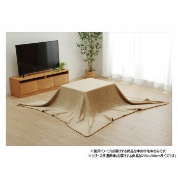 【暮らしラクラク応援セール】こたつ布団用 中掛け毛布 長方形 約200×280cm ブラウン 1181380062840【取り寄せ・返品不可商品】