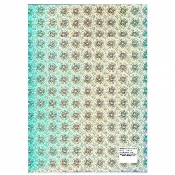 餷饯饯祻ۥۥڡѡ 10 ե H-13 10 åȡڼ󤻡Բľʡ