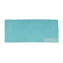 【暮らしラクラク応援セール】山本光学 SWANS スポーツタオルドライタイプ (80×150cm) ミント SA-129 MINT【取り寄せ・返品不可商品】