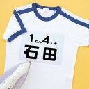 【暮らしラクラク応援セール】サンワサプライ インクジェット用アイロンで貼るゼッケンシール JP-NU5A5N【取り寄せ・返品不可商品】