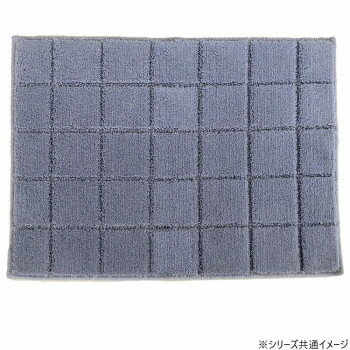 【暮らしラクラク応援セール】日本製 抗菌防臭＆吸水速乾バスマット レチカータ Mサイズ 45×60cm BG・..