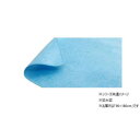 【暮らしラクラク応援セール】布団の下に敷くだけ 除湿シート シングルサイズ 90×180cm 1596519【取り寄せ・返品不可商品】
