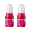 【暮らしラクラク応援セール】PADICO パジコ UVレジン用着色剤 宝石の雫 10ml 2本セット Pink ピンク 403034【取り寄せ・返品不可商品】