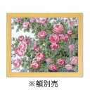 【暮らしラクラク応援セール】オリムパス オノエ・メグミ ししゅうキット 愛すべき花たち オールドローズ 7450【取り寄せ・返品不可商品】
