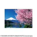 【暮らしラクラク応援セール】やのまん ジグソーパズル 風景 桜と富士(山梨)01-2068【取り寄せ・返品不可商品】