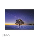 【暮らしラクラク応援セール】やのまん ジグソーパズル KAGAYA ハルニレの木と天の川(北海道)03-906【取り寄せ・返品不可商品】