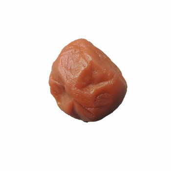 餷饯饯祻ܿͤ ʥץޥͥå ߴ IP-347ڼ󤻡Բľʡ