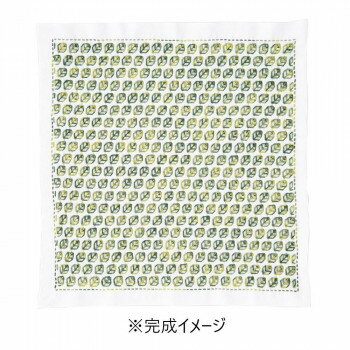 【暮らしラクラク応援セール】オリムパス 刺し子キット 花ふきん リーフ SK-377【取り寄せ・返品不可商品】