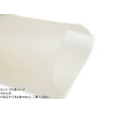 【暮らしラクラク応援セール】切り革 ソフト生皮 半透明 1枚 Pkawa074【取り寄せ・返品不可商品】