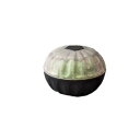 【暮らしラクラク応援セール】甲冑蓋物 黄緑 KACYU-24【取り寄せ・返品不可商品】