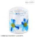 【暮らしラクラク応援セール】アクリル綿棒立て ブルーフラワー 30120951017【取り寄せ・返品不可商品】