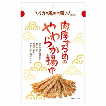 【暮らしラクラク応援セール】まるか食品 肉厚するめのやわらか揚げ 55g(12×4)【軽減税率対象商品】【取り寄せ・返品不可商品】