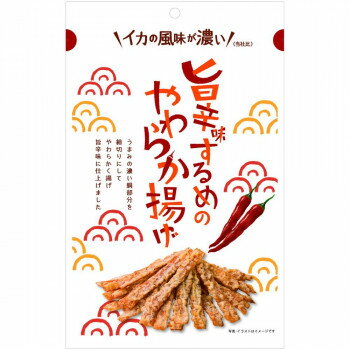 【暮らしラクラク応援セール】まるか食品 旨辛味するめのやわらか揚げ 55g(12×4)【軽減税率対象商品】【取り寄せ・返品不可商品】