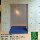 【暮らしラクラク応援セール】インドアマット ブライトマットII 12号 90×120cm きみどり【取り寄せ・返品不可商品】