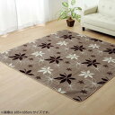 【暮らしラクラク応援セール】ラグ カーペット 『WSプランタ』 ブラウン 約200×300cm (ホットカーペット対応) 9810941【取り寄せ・返品不可商品...