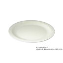 【暮らしラクラク応援セール】軽くて丈夫なメラミンプレート25cm 802893【取り寄せ・返品不可商品】