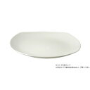 【暮らしラクラク応援セール】BCスクエアプレート 22cm 704869【取り寄せ・返品不可商品】