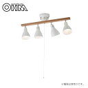 【暮らしラクラク応援セール】オーム電機 OHM 室内照明器具 4灯シーリングライト ホワイト 電球別売 LT-YN40AW-W【取り寄せ・返品不可商品】