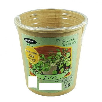 楽天市場】植物 クレソンの通販