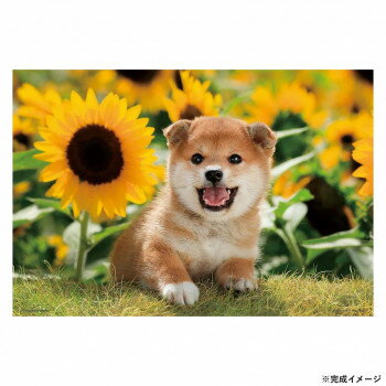 ※お届け地域により、別途運賃がかかる場合やお届けできない場合がございますので、お問い合わせ下さい。 かわいいペットジグソーパズルシリーズ!サイズ38×26cm個装サイズ：14×17×5cm重量個装重量：265g仕様ピース数:300ピースパネルNo.031(C)YONEO MORITA / NOA NOA生産国日本広告文責 (有)Gグローバル 058-216-2175 ■購入前に必ずご確認ください■ ●こちらの商品につきまして当店別倉庫から発送となります。 配送センターに配送指示をした時点でキャンセルができなくなります。 キャンセル料が発生致しますのでご注意ください。 ●各商品別に運送会社が異なります。ご希望の運送会社指定はできません。 また、営業所止めの配達指定も対応はできません。 ●お届けは軒先渡しとなります。搬入、組み立て、設置等は宅配業者に依頼しても対応できません。 ●配達指定日は指定できません。 配送センターからの発送タイミングでのお届けとなります。お急ぎの方は予め納期確認をお願い致します。 ●熨斗、ラッピング対応はできません。 ●配送センターから直接発送となりますので、納品書、領収書等は同梱されません。 ご希望の方は当店までご連絡お願い致します。 ●北海道、沖縄、離島地域にお住まいの方は送料600円追加となります。 送料無料と記載の商品も送料600円追加となります。金額は購入後に修正させて頂きますのでご注意ください。fk094igrjs